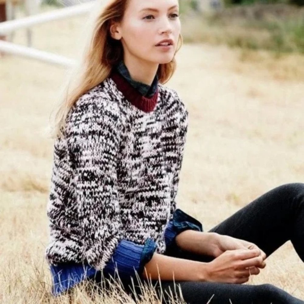 J. Crew Marled Wool Colorblock Sweater